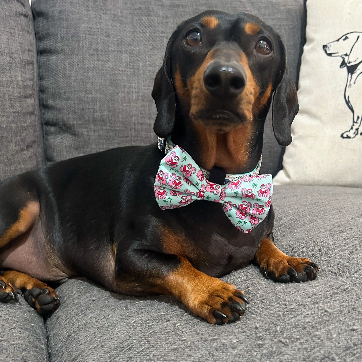 Summer Christmas: Bow Tie